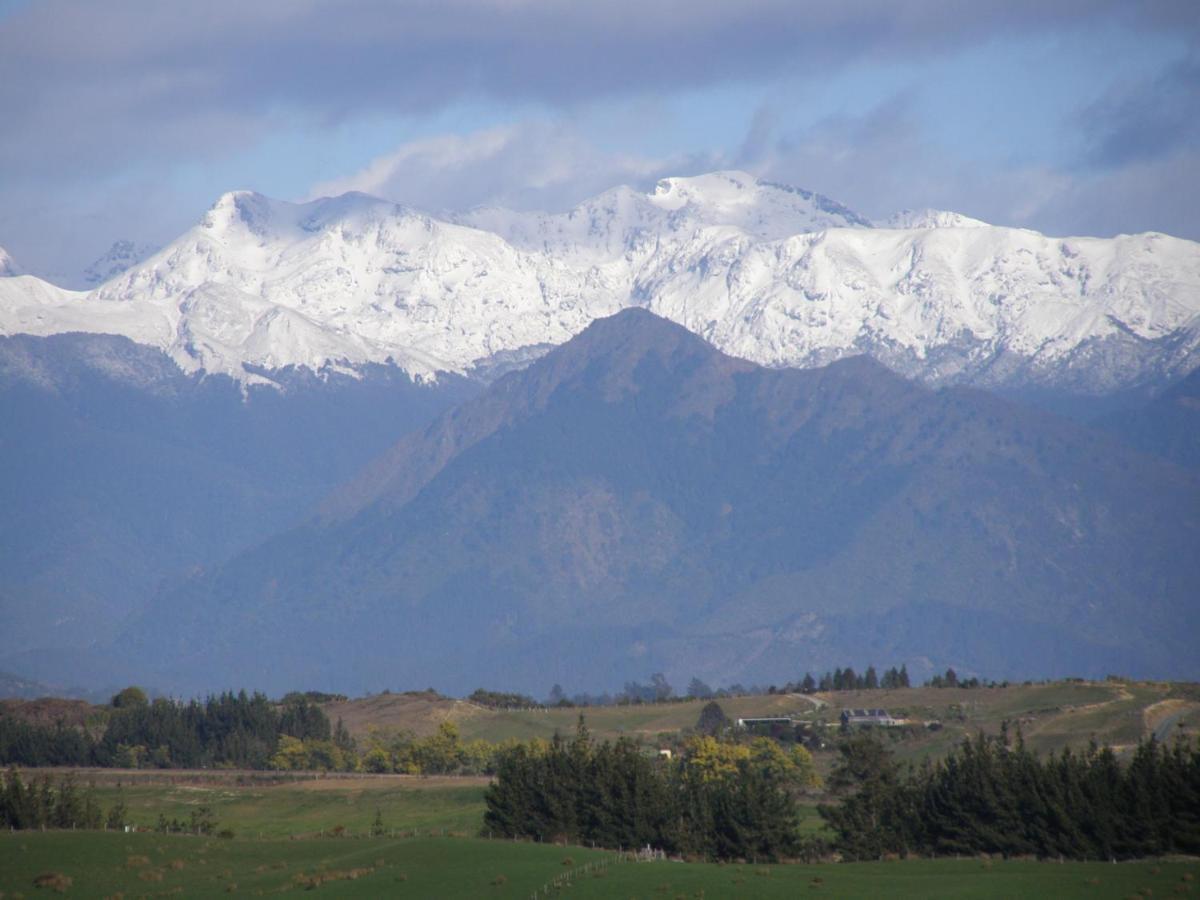 2 Views At Tasman Bed & Breakfast エクステリア 写真